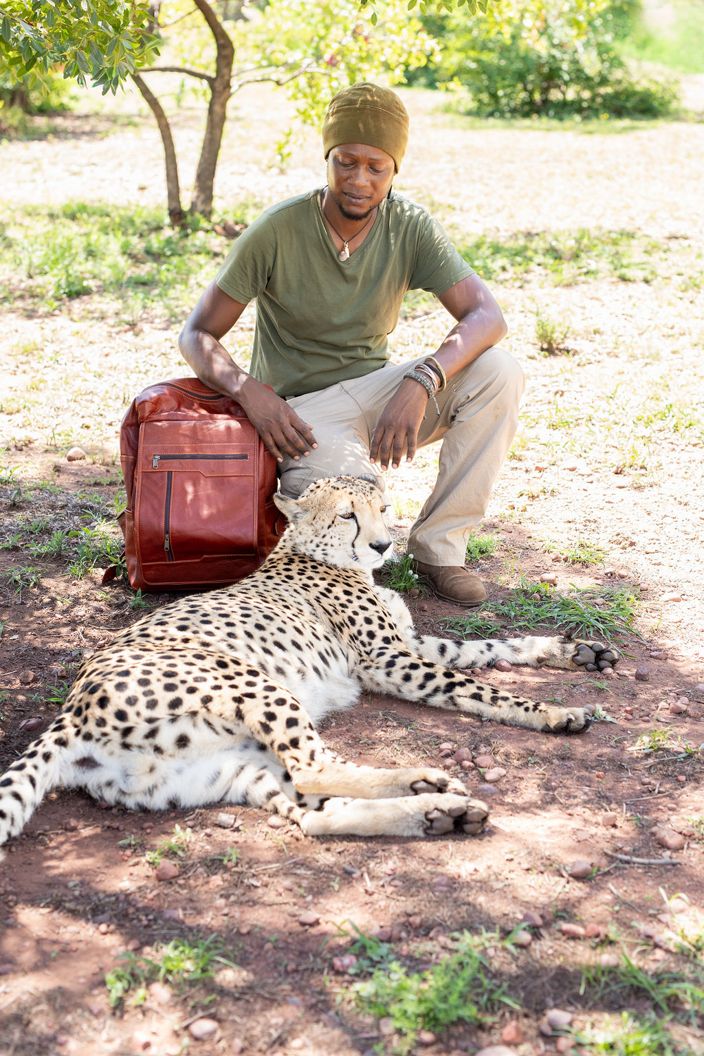 Lionessi Luxury Leather