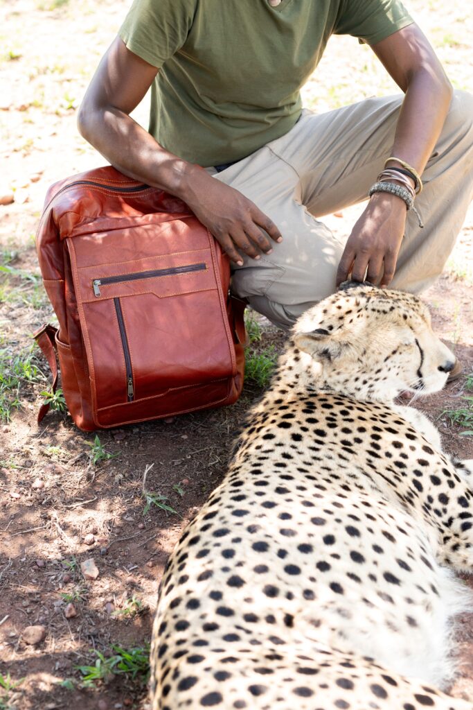 SIMI0686 Klapus flapped Kudu Laptop back pack. Chestnut