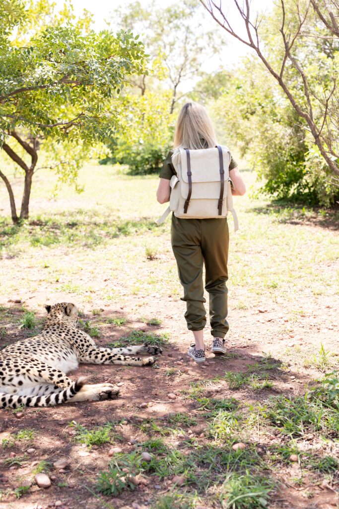 Lionessi Luxury Leather Lionessi Luxury Leather