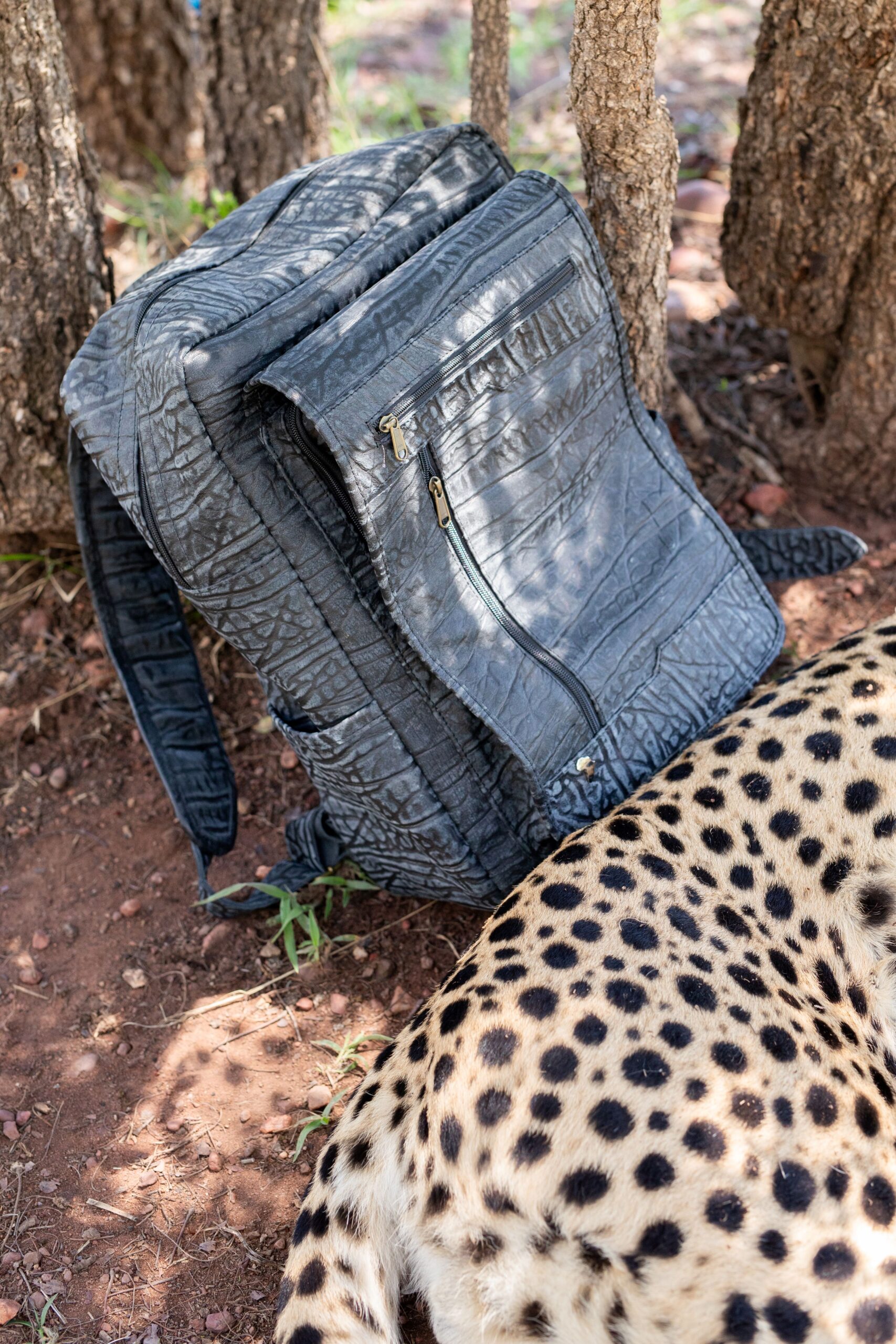 Luxury Leather back packs