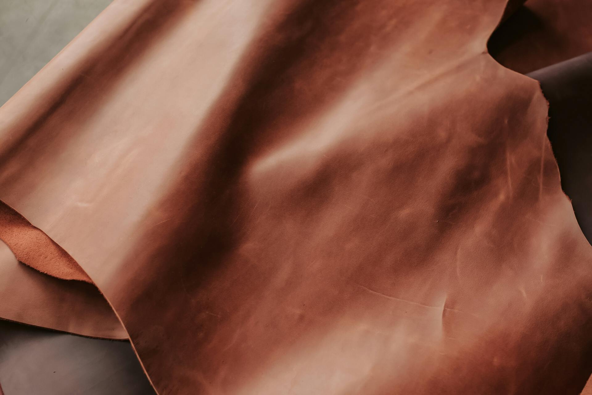 Lionessi Luxury Leather